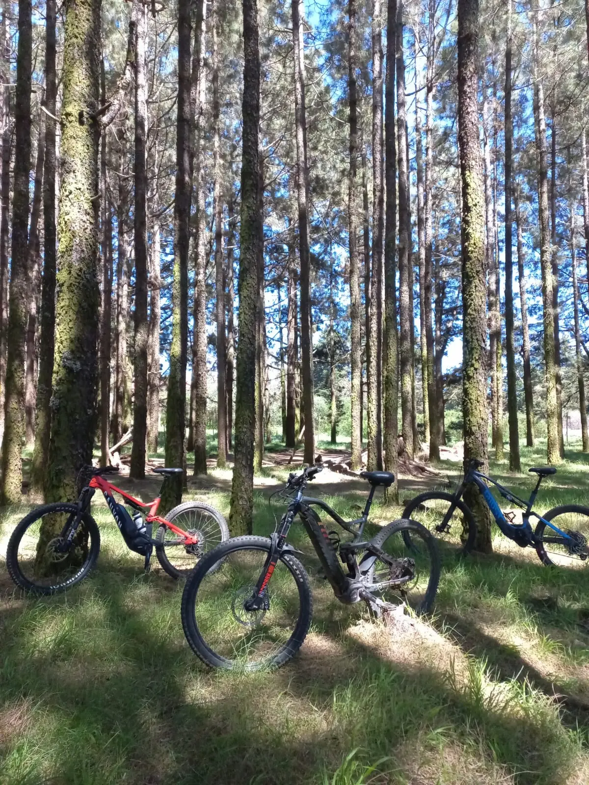 El Corazón Verde de Tenerife te Espera con Masterbike