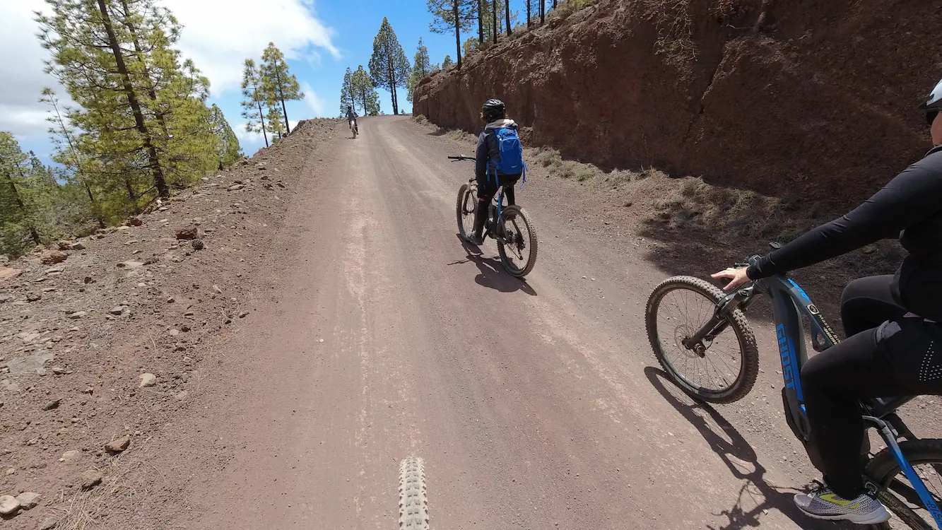 Masterbike Tenerife Tours: Potencia y Naturaleza